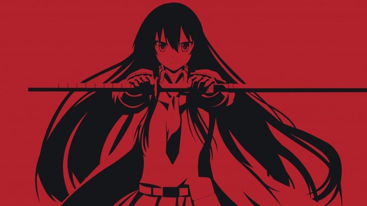 Akame ga Kill Wallpaper