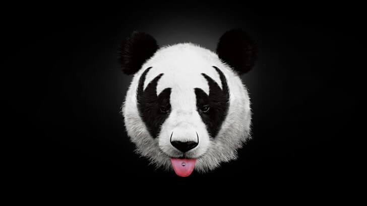 Kiss Panda Wallpaper