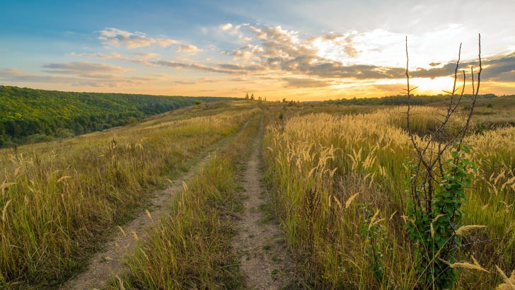 Pastoral Road Wallpaper