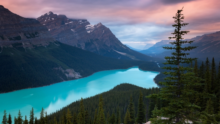 Peyto Lake, Canada Wallpaper